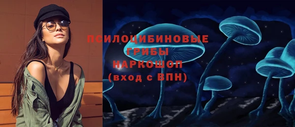 гидропоника Горнозаводск
