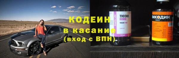 индика Вязьма