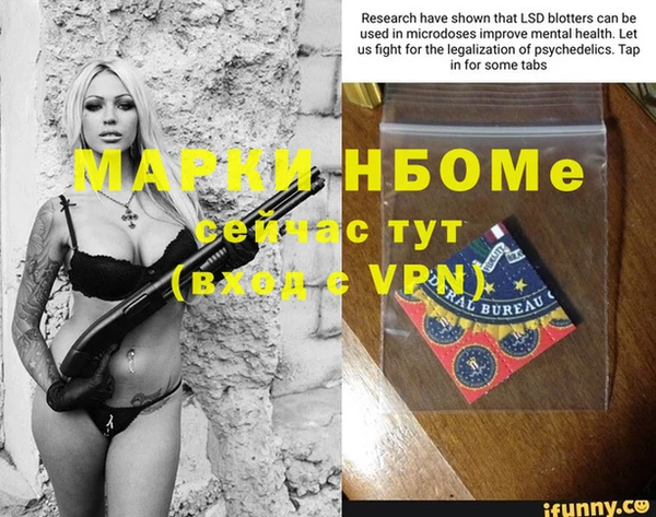 индика Вязьма