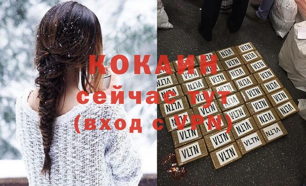 индика Вязьма
