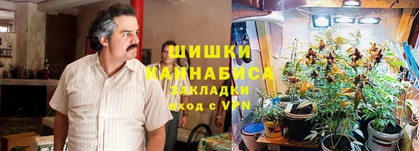 индика Вязьма