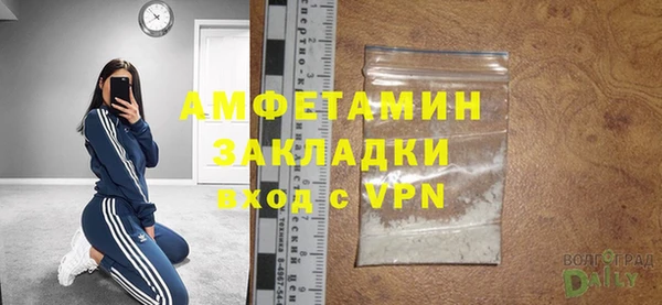 индика Вязьма