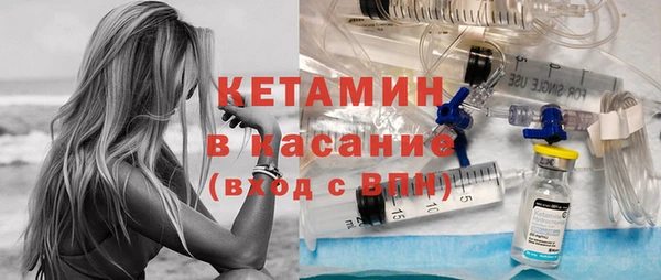 индика Вязьма