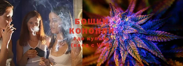 индика Вязьма
