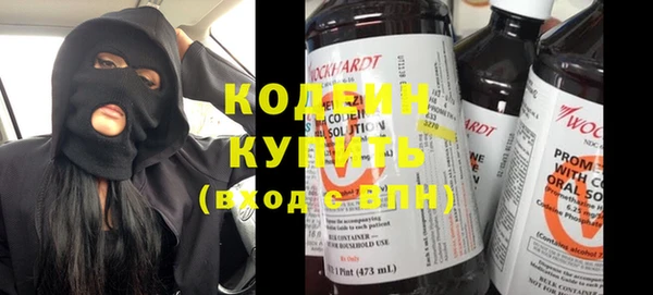индика Вязьма