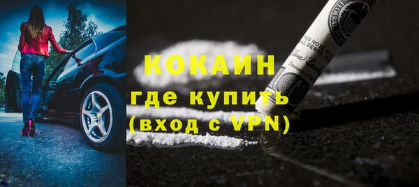 индика Вязьма